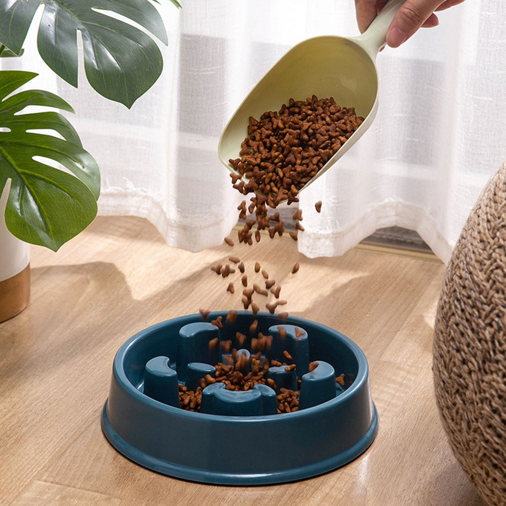 Pet Slow Food Bowl Smart Choice