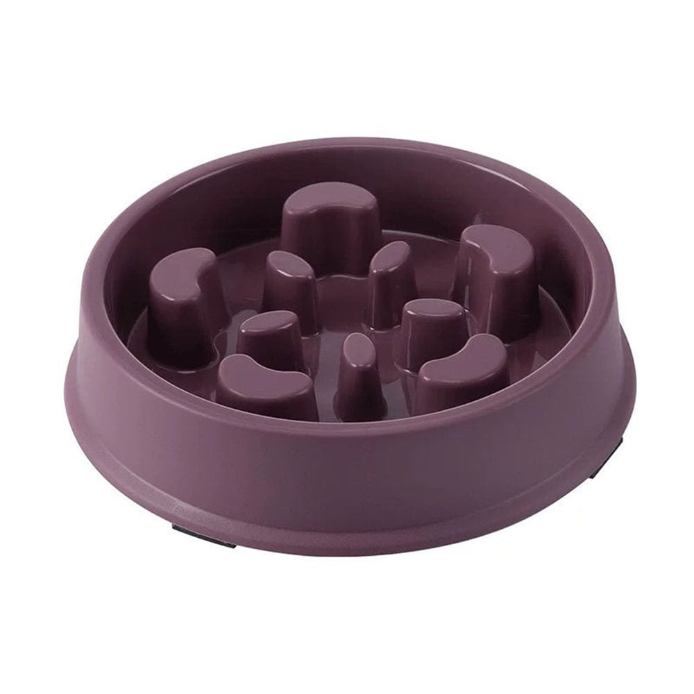 Pet Slow Food Bowl Smart Choice