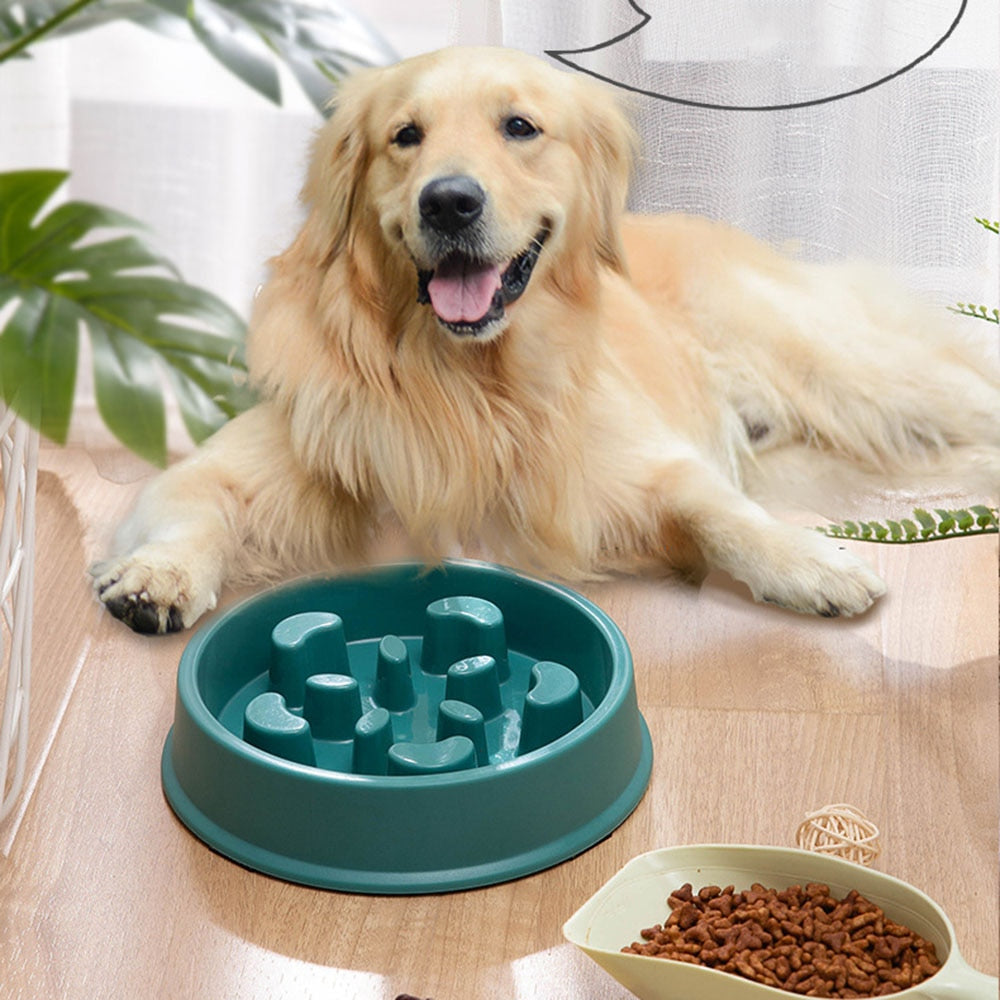 Pet Slow Food Bowl Smart Choice