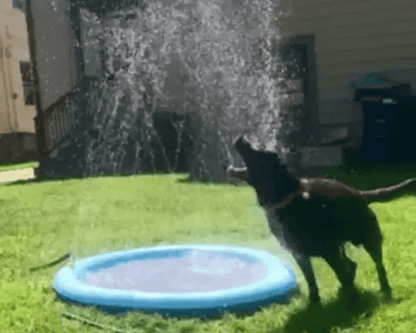 SplashPaw Dog Water Pad