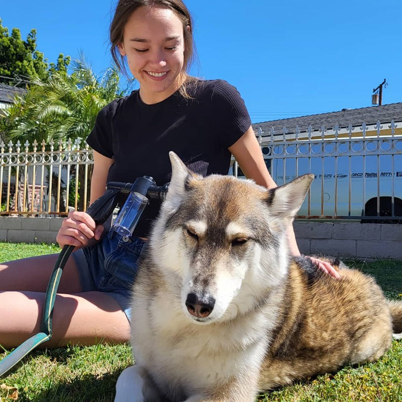 Splash-Free Canine Bath Buddy