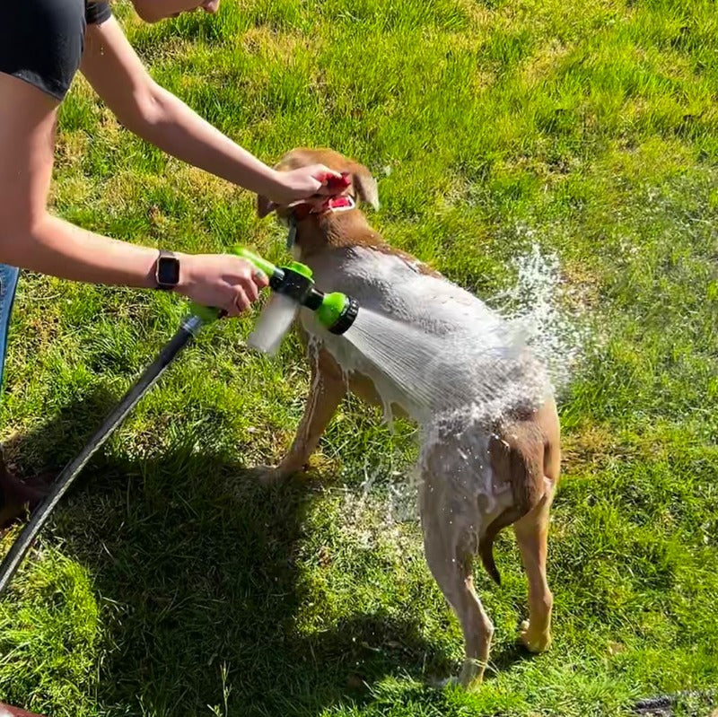 Splash-Free Canine Bath Buddy