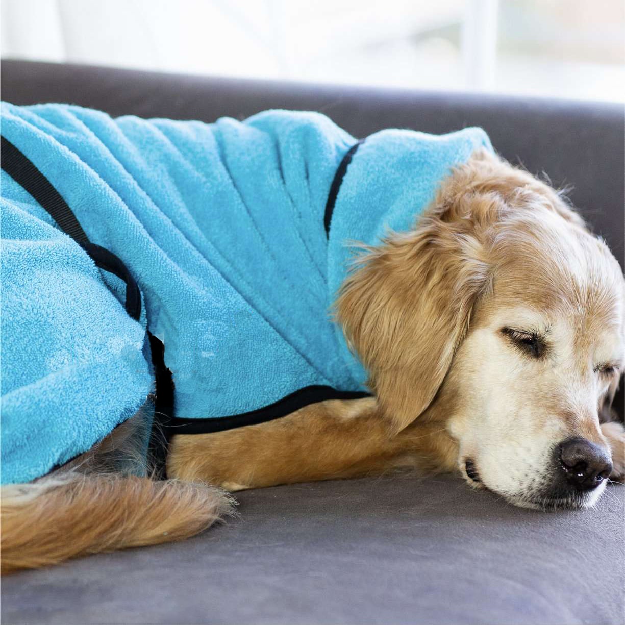 PupDry | Snuggly Doggy Drying Cape